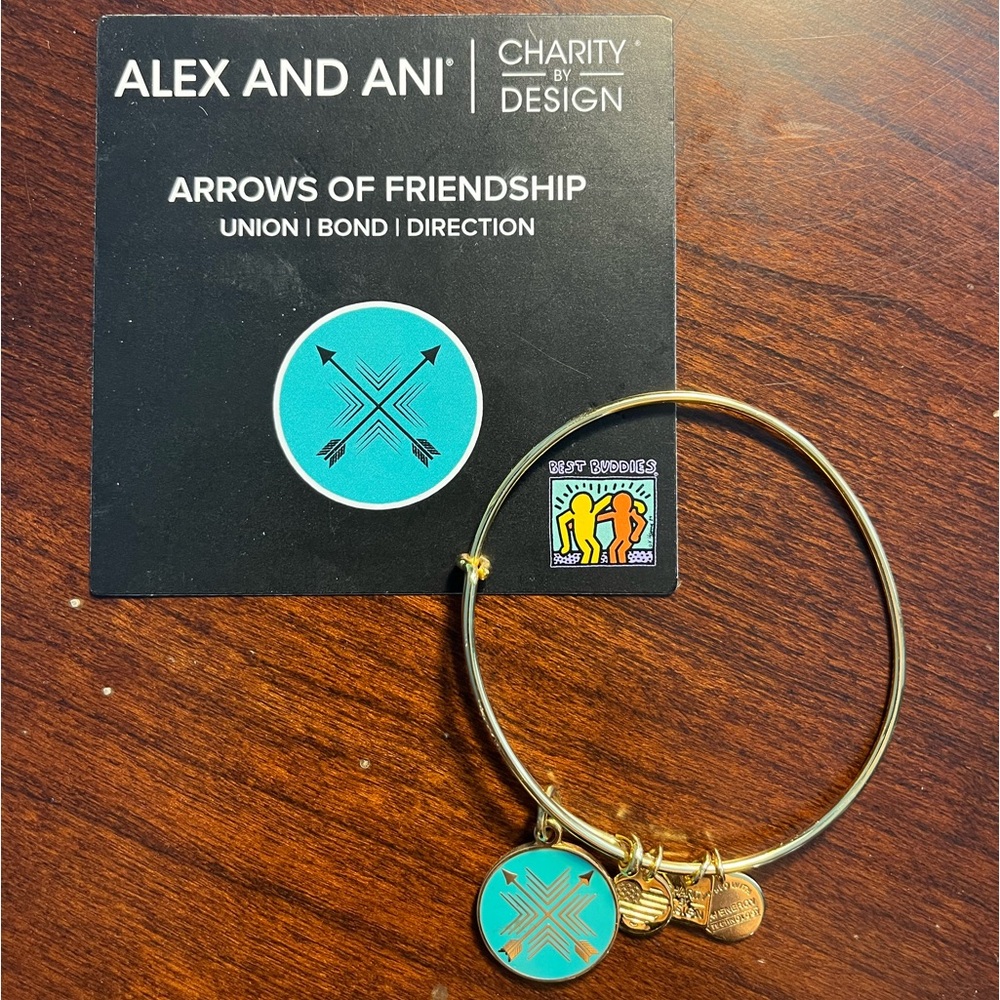 Alex and Ani arrows of friendship bracelet